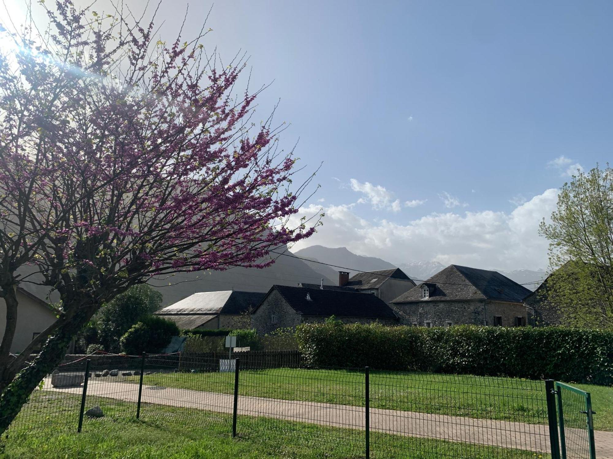 La Suite Unique - Le Jardin Sur Les Pyrenees- Vue Panoramique Montagne -Jardin Cloture Prive De 100M2-Parking-Linge De Lit Et Serviettes Compris- Bielle Zewnętrze zdjęcie