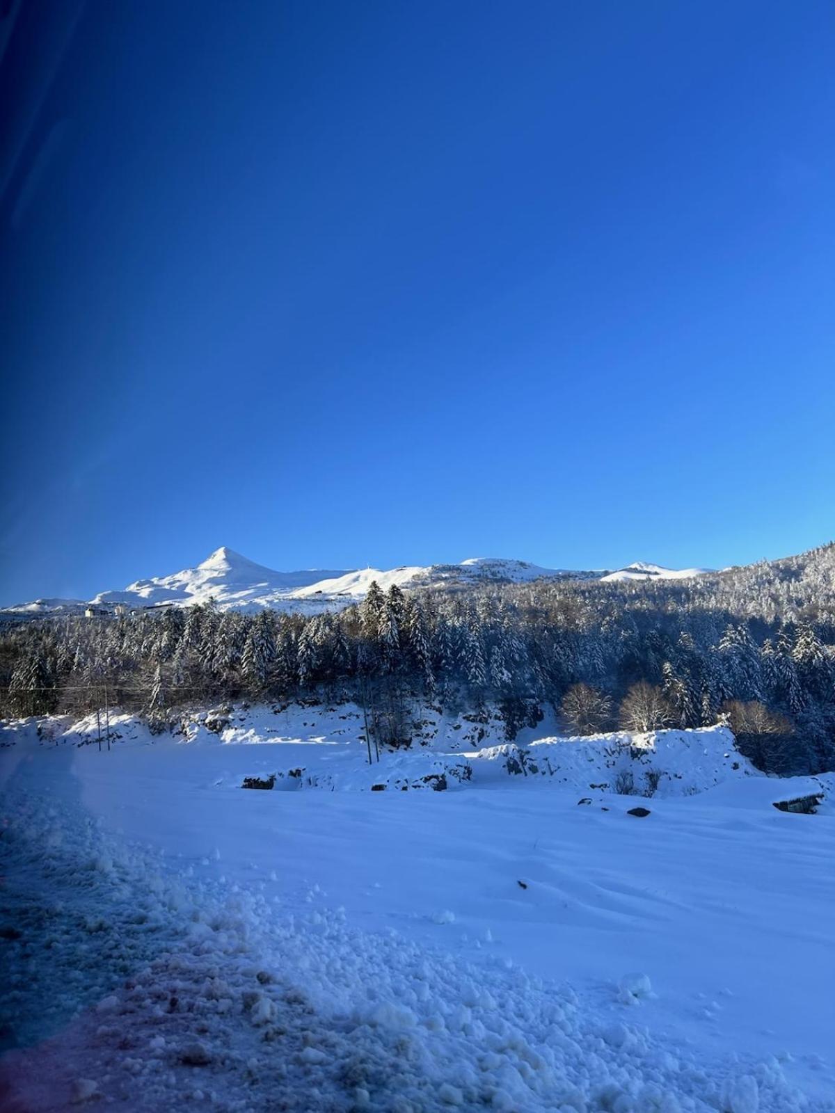 La Suite Unique - Le Jardin Sur Les Pyrenees- Vue Panoramique Montagne -Jardin Cloture Prive De 100M2-Parking-Linge De Lit Et Serviettes Compris- Bielle Zewnętrze zdjęcie
